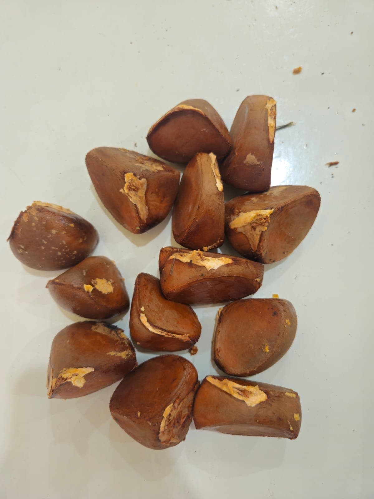 Andiroba 2
